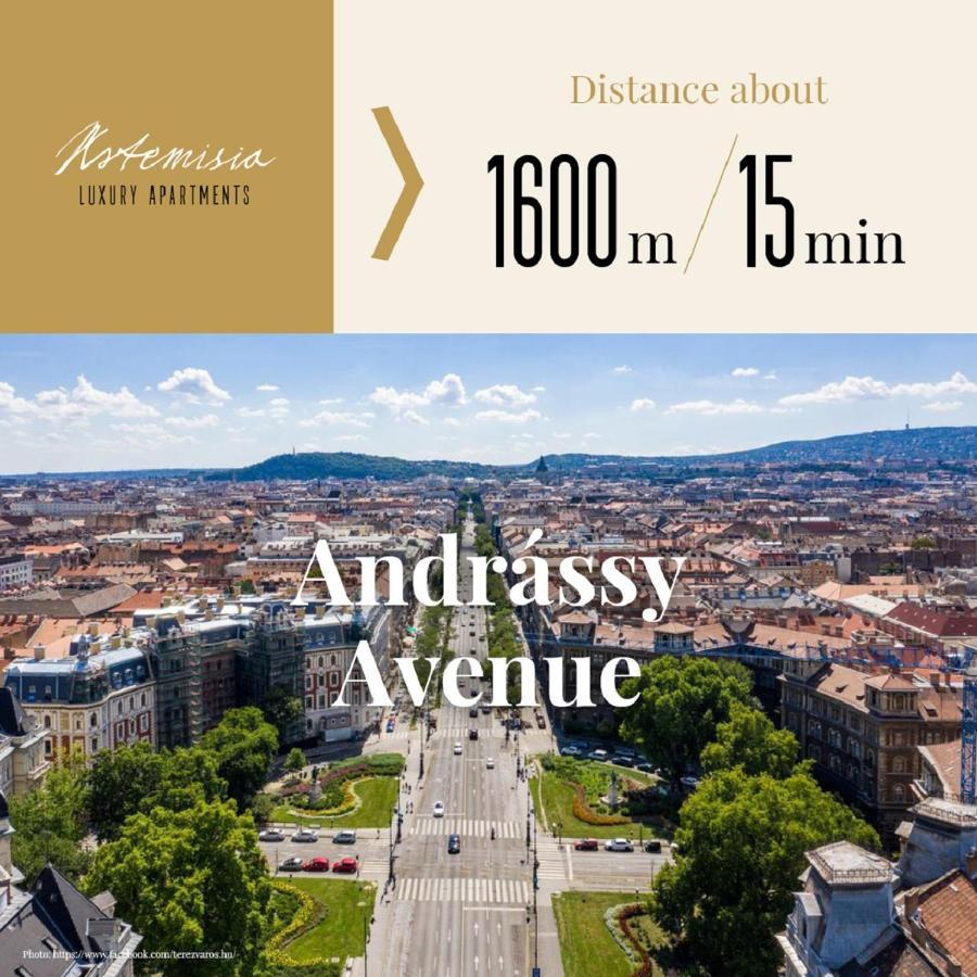 Artemisia Luxury Apartments Skyflat Boedapest Buitenkant foto