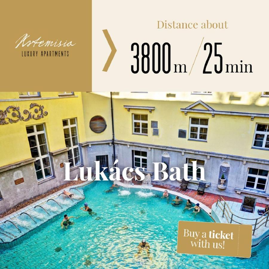 Artemisia Luxury Apartments Skyflat Boedapest Buitenkant foto